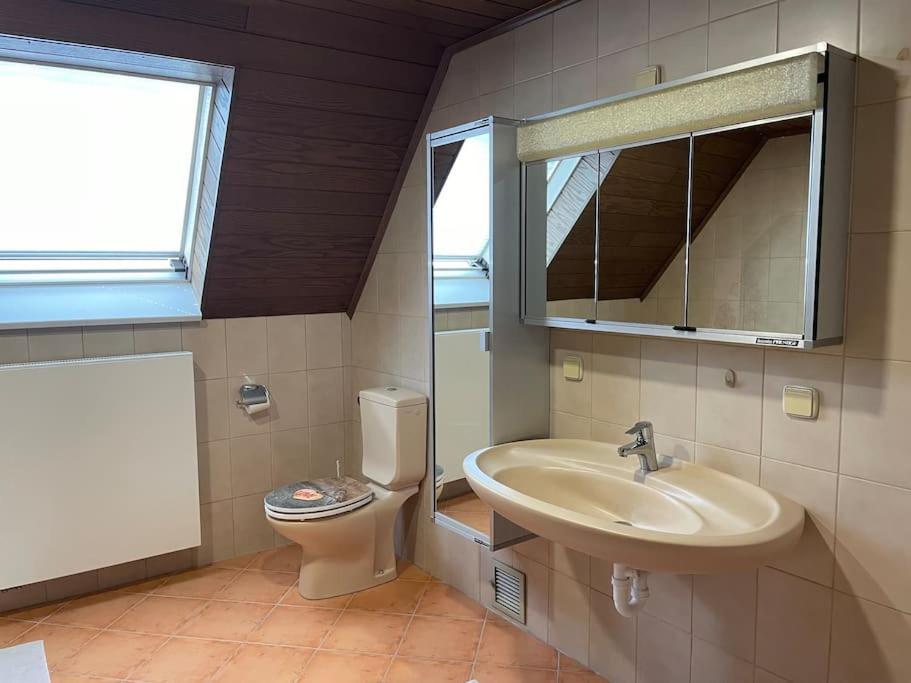 Maisonette Apartment Family & Business Naehe Heidelberg I Kueche I 6 Schlafplaetze Sinsheim Exterior foto